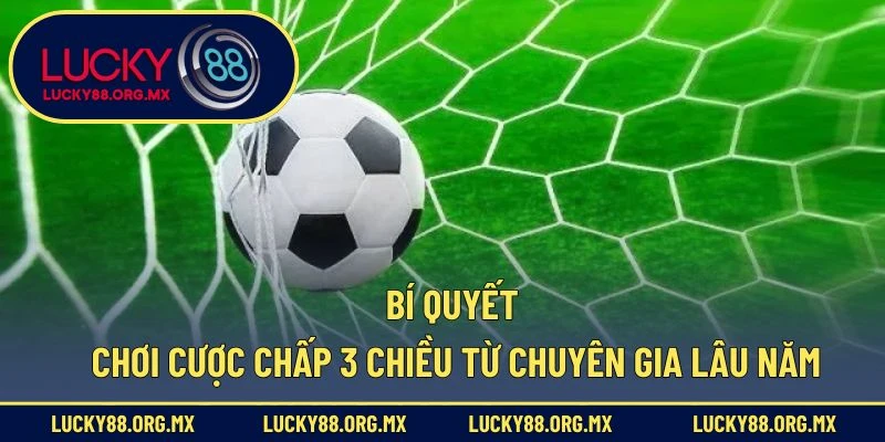 Bí quyết chơi cược chấp 3 chiều từ chuyên gia lâu năm