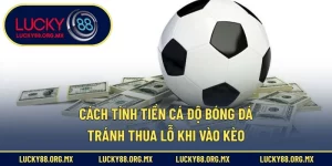 Cách tính tiền cá độ bóng đá
