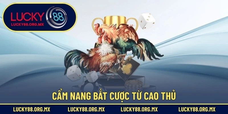 Đá Gà Lucky88 Cẩm nang bắt cược từ cao thủ