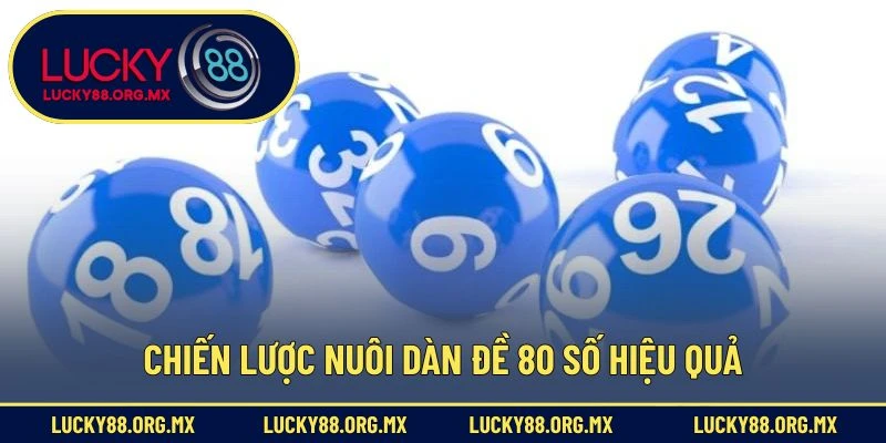 Dàn Đề 80 Số – Bí Quyết Chơi Lô Đề Với Xác Suất Trúng Cao Chiến lược nuôi dàn đề 80 số hiệu quả