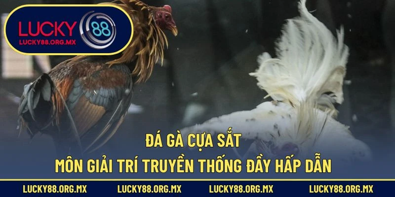 Đá Gà Cựa Sắt