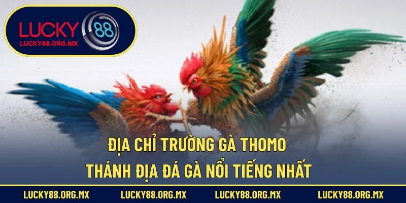 Địa Chỉ Trường Gà Thomo
