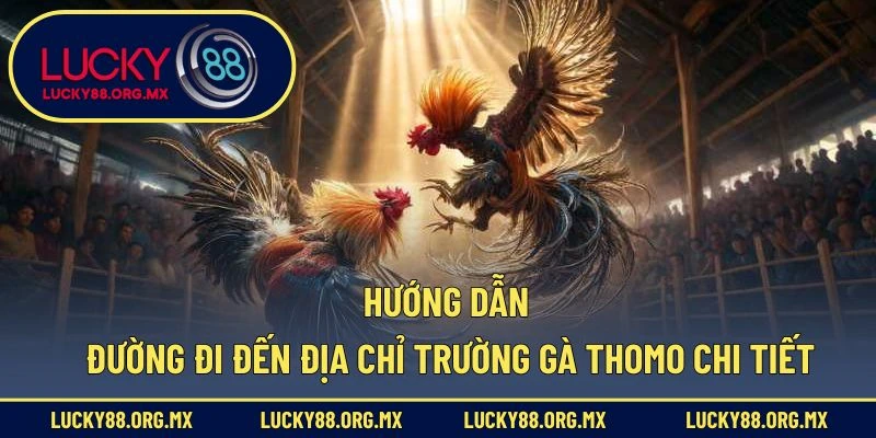 Địa Chỉ Trường Gà Thomo – Thánh Địa Đá Gà Nổi Tiếng Nhất Hướng dẫn đường đi đến địa chỉ trường gà Thomo chi tiết
