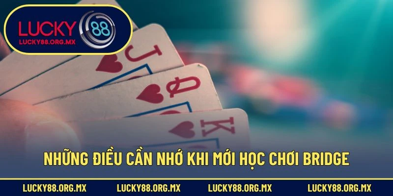 Cách Chơi Bài Bridge – Bộ Môn Trí Tuệ Đòi Hỏi Tư Duy Cao Những điều cần nhớ khi mới học chơi Bridge