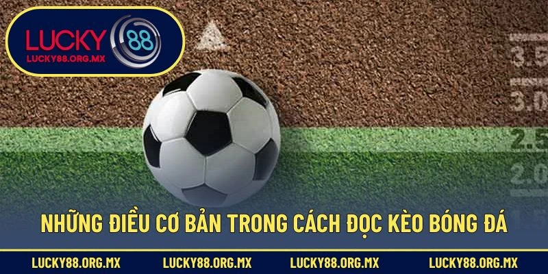 Cách Đọc Kèo Bóng Đá – Hướng Dẫn Từ Cơ Bản Đến Nâng Cao Những điều cơ bản trong cách đọc kèo bóng đá