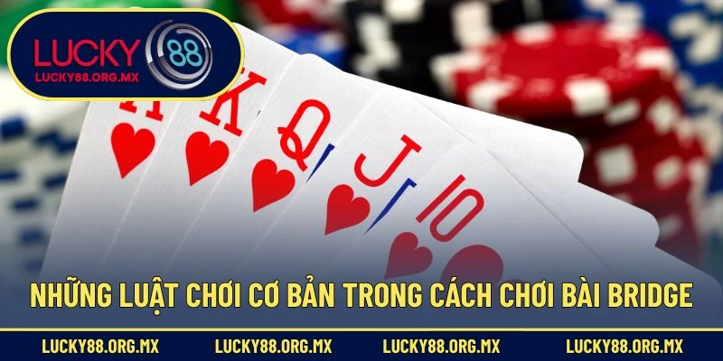 Cách Chơi Bài Bridge – Bộ Môn Trí Tuệ Đòi Hỏi Tư Duy Cao Những luật chơi cơ bản trong cách chơi bài Bridge