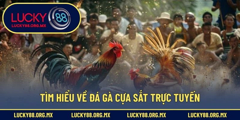 Đá Gà Cựa Sắt – Môn Giải Trí Truyền Thống Đầy Hấp Dẫn Tìm hiểu về đá gà cựa sắt trực tuyến